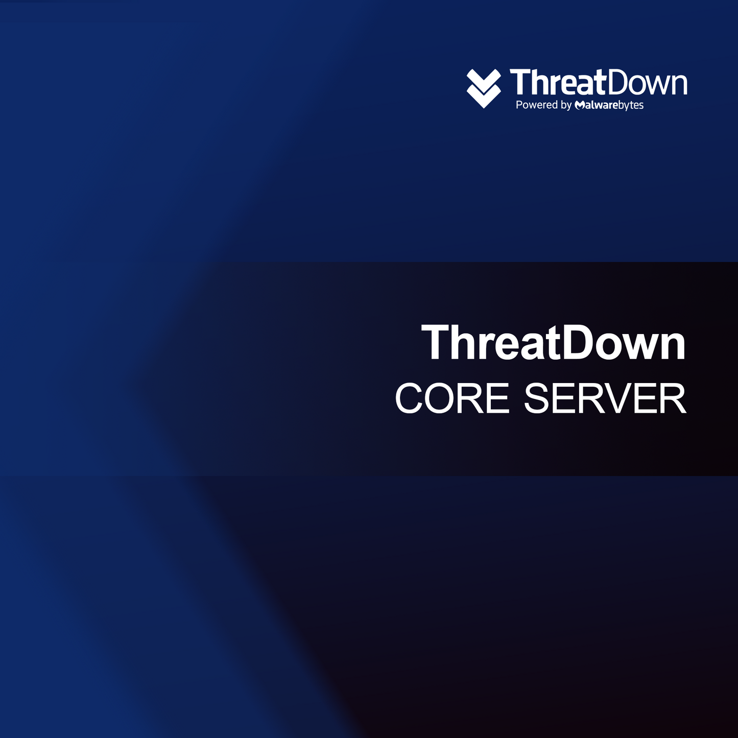 Servidor central ThreatDown
