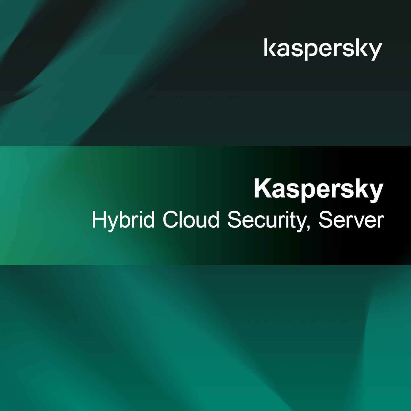 Kaspersky Segurança Híbrida para Nuvem, Servidor